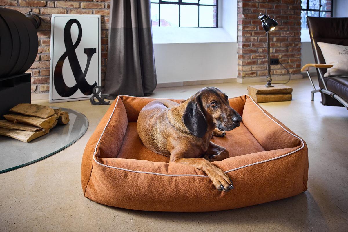 Buffalo Hundebett