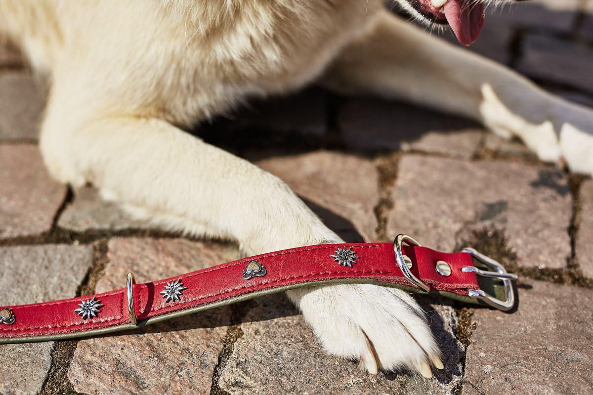 Edelweiss Halsband