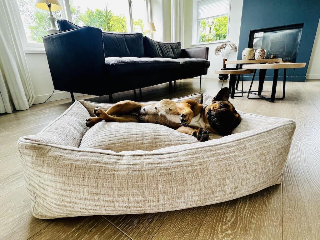 Nova Hundebett