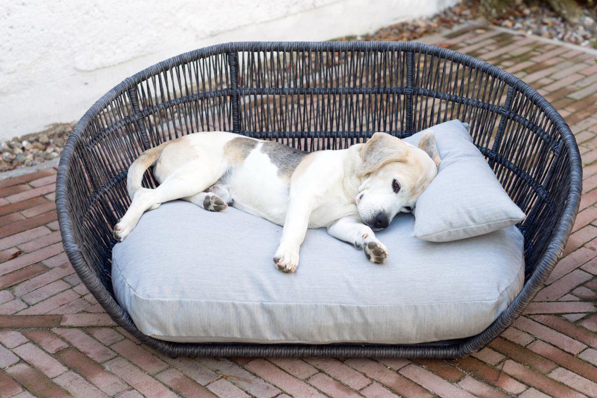Prado Design-Hundebett Chic
