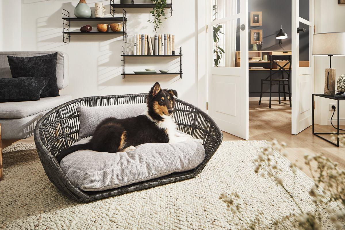 Prado Design-Hundebett Tudor