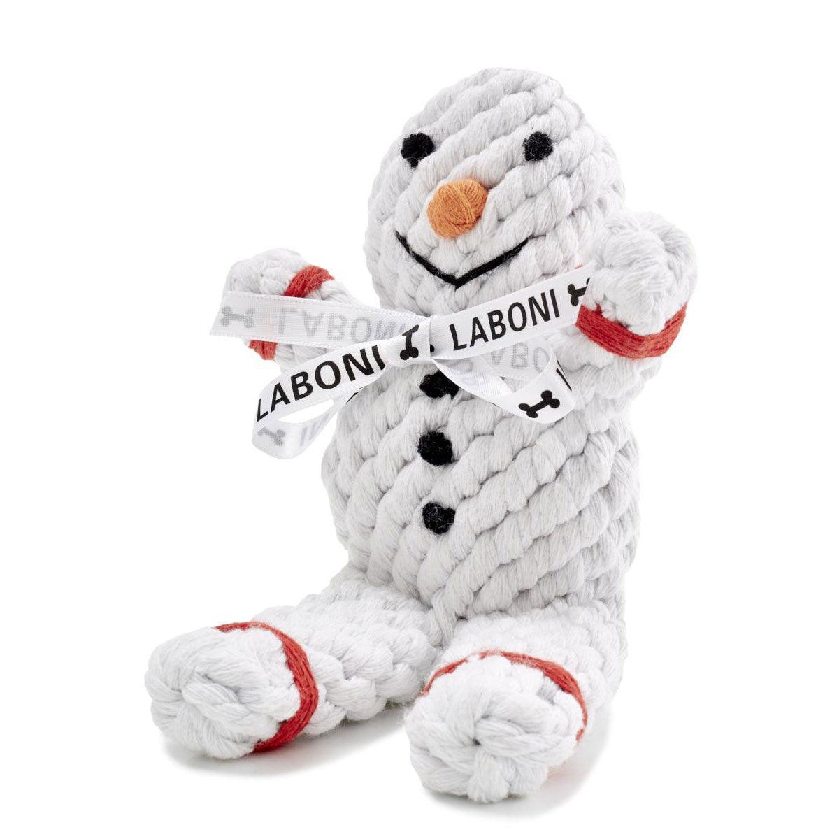 Shawn der Schneemann