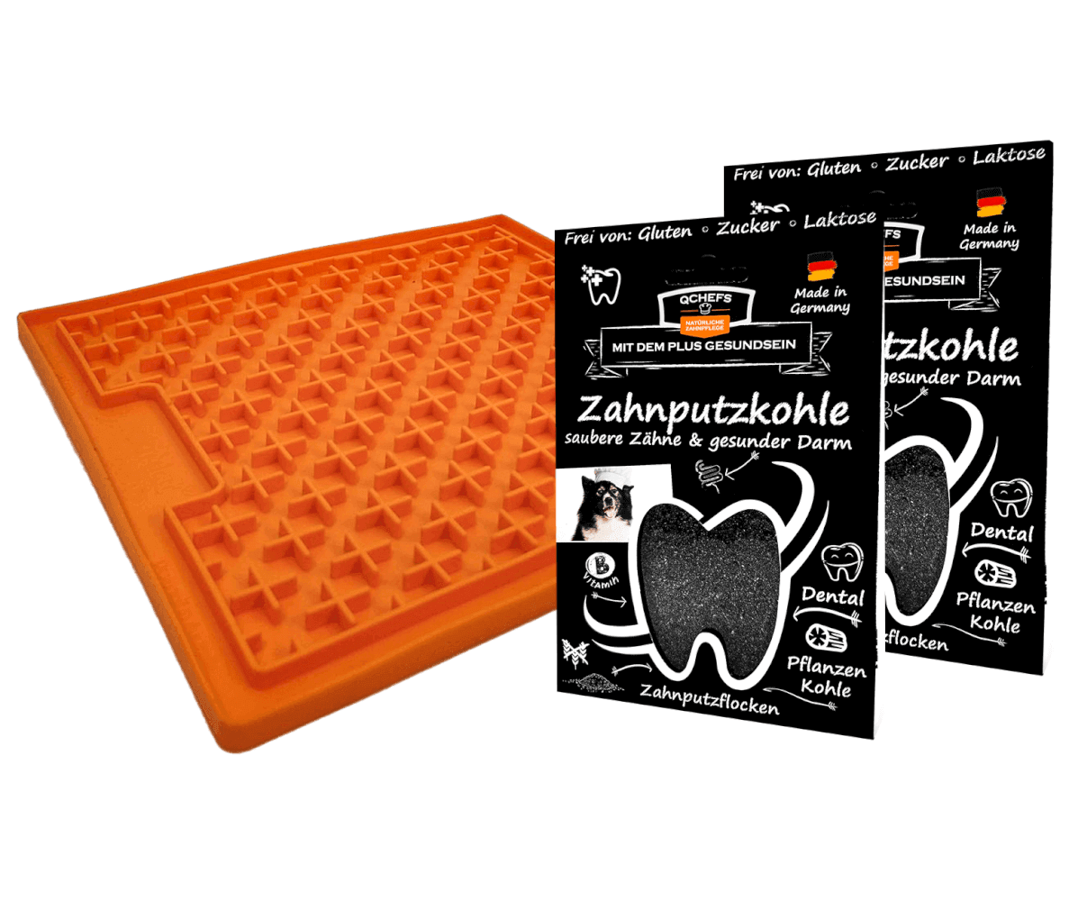 Darm Dental Bundle Buddy