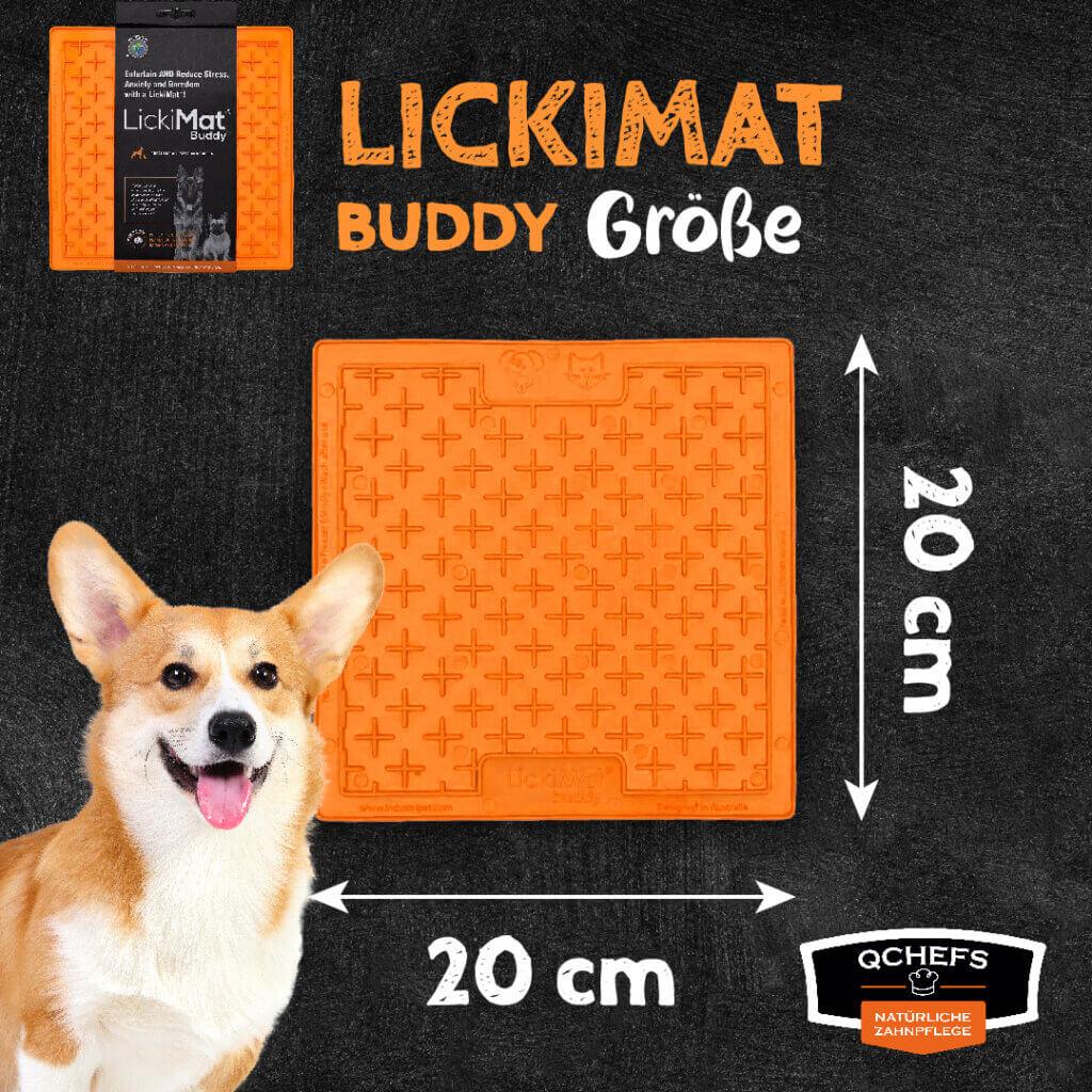 Darm Dental Bundle Buddy