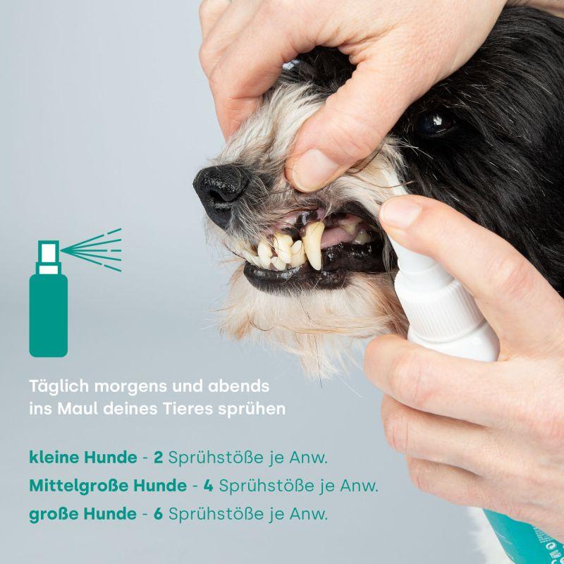 emmi-dent Dentalspray HappyDENT