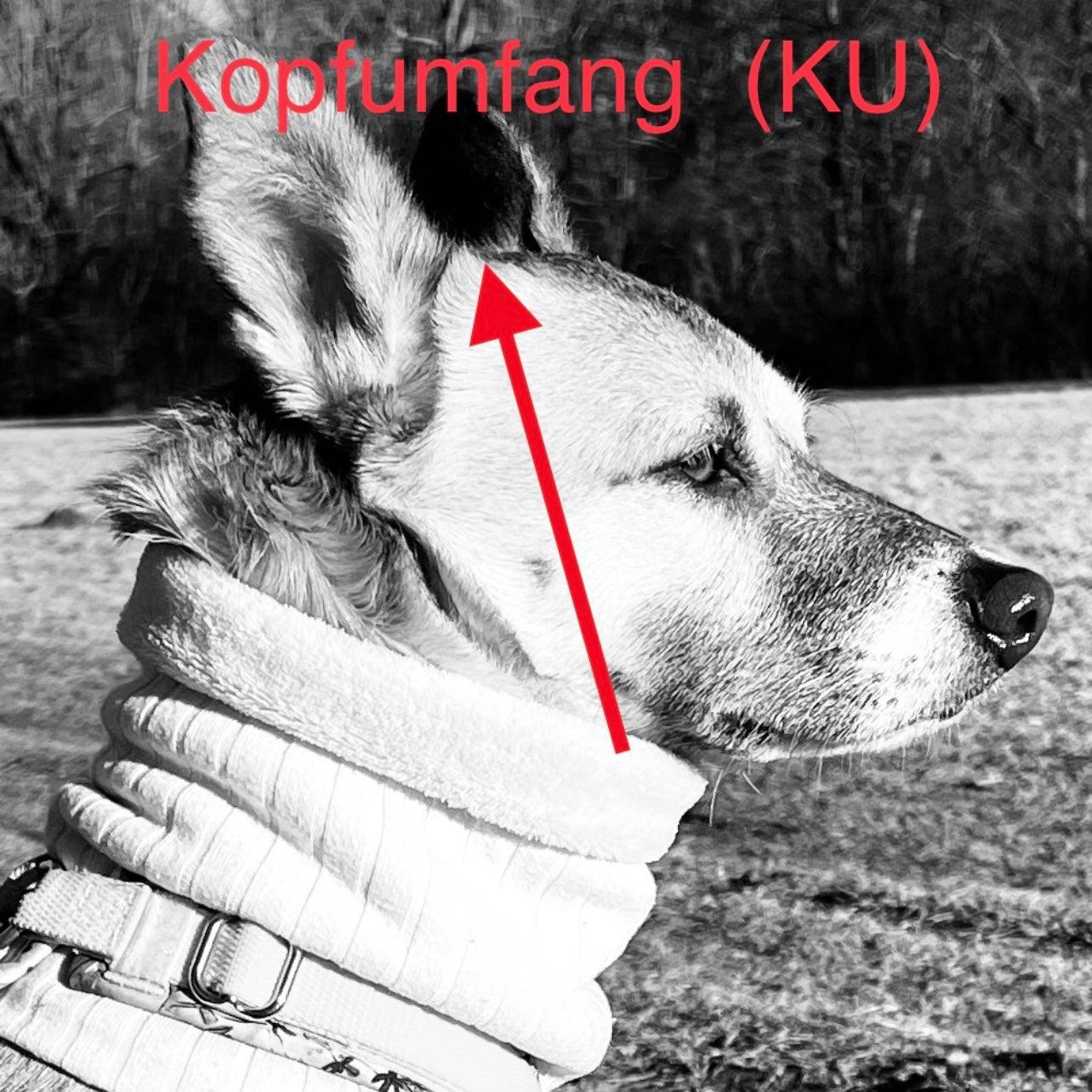 Hundeschal Ice Ice Baby in Türkis von ScandiPaws