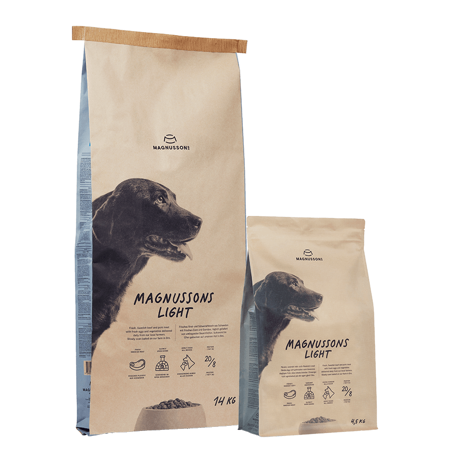 Magnussons Light