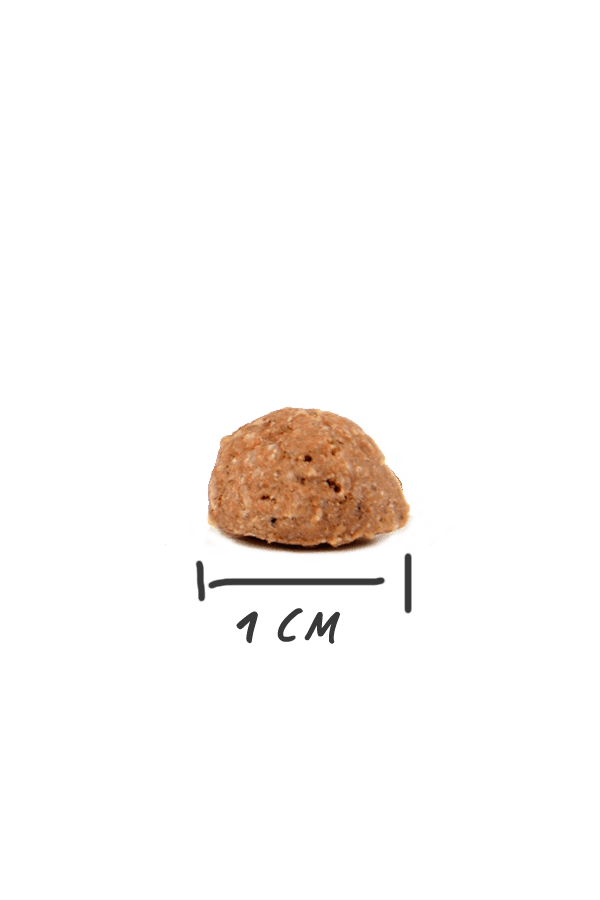 Magnussons Adult