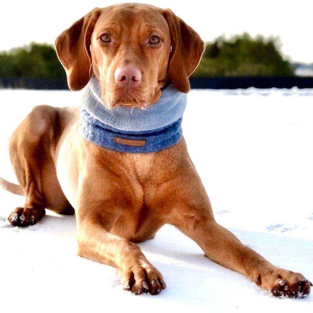 Hundeschal Blue Star in Blau von ScandiPaws