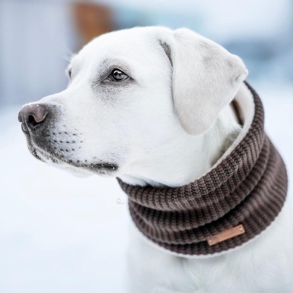 Hundeschal Hundeloop Brwony in braun von ScandiPaws