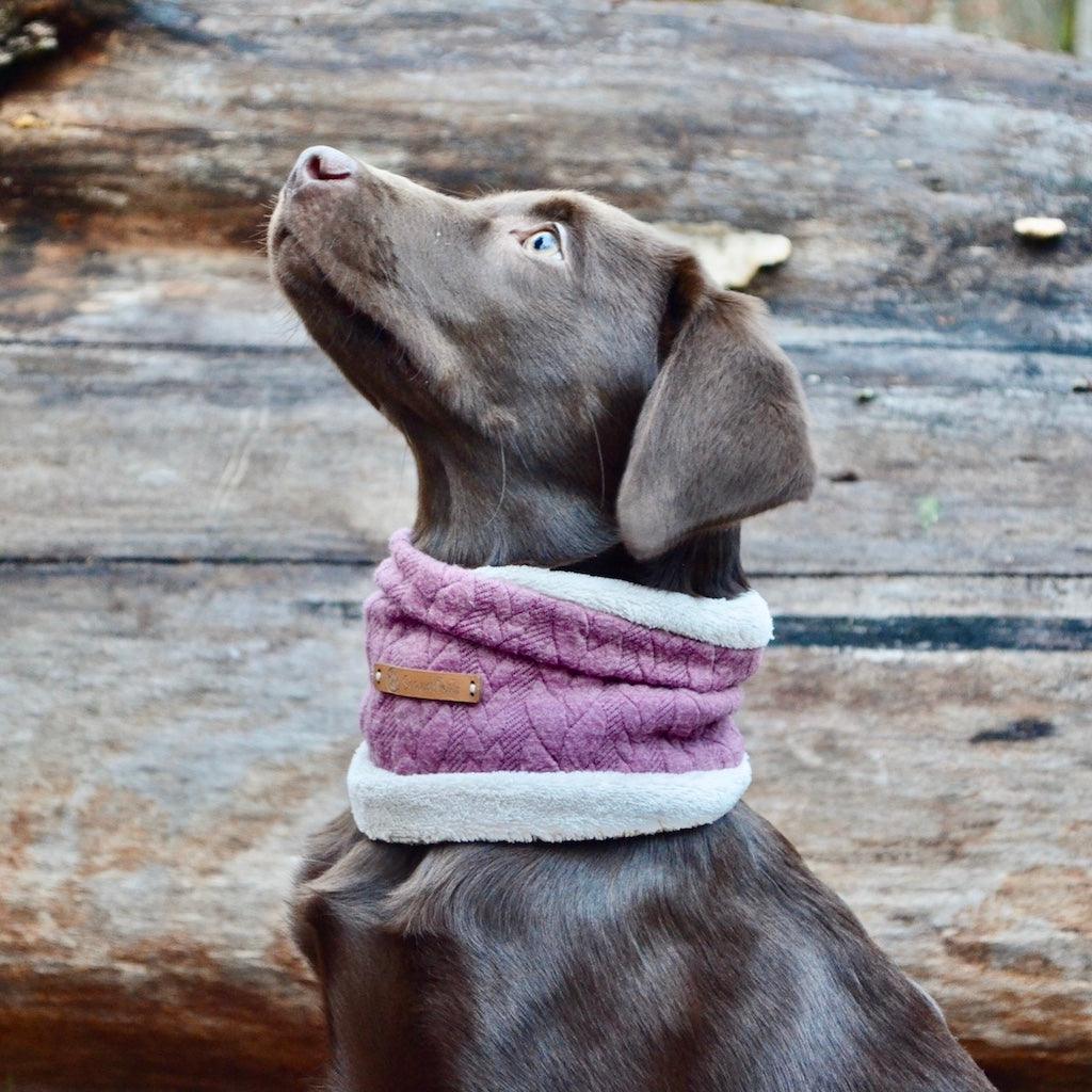 Hundeschal Iced Berry in Lila von ScandiPaws