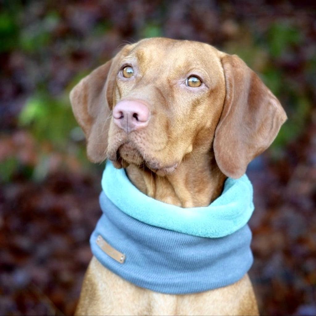 Hundeschal Mr. Grey in Grau von ScandiPaws