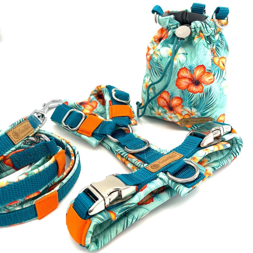 Softshell Hundeleine Aloha