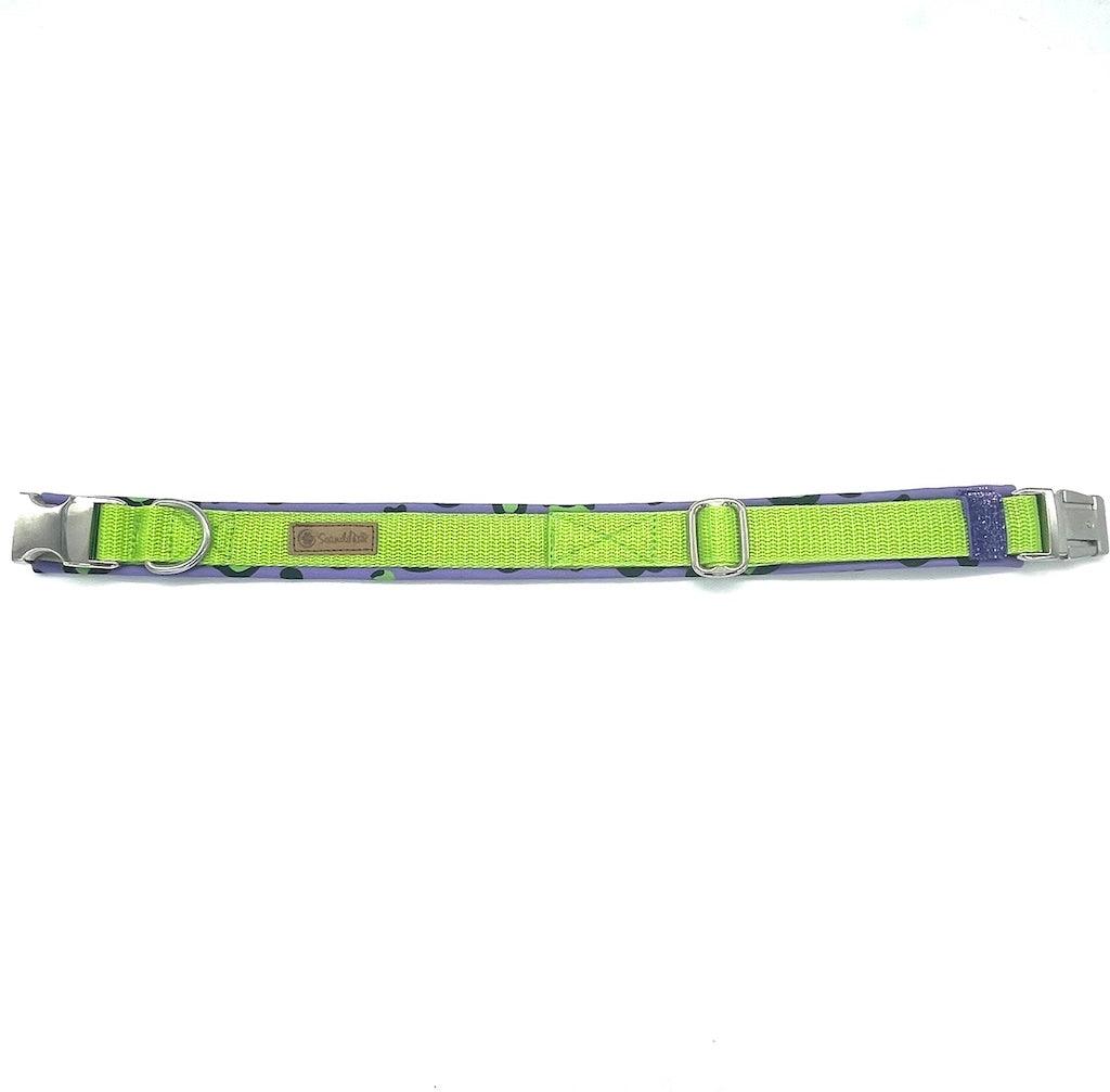 Halsband von ScandiPaws crazy Enough