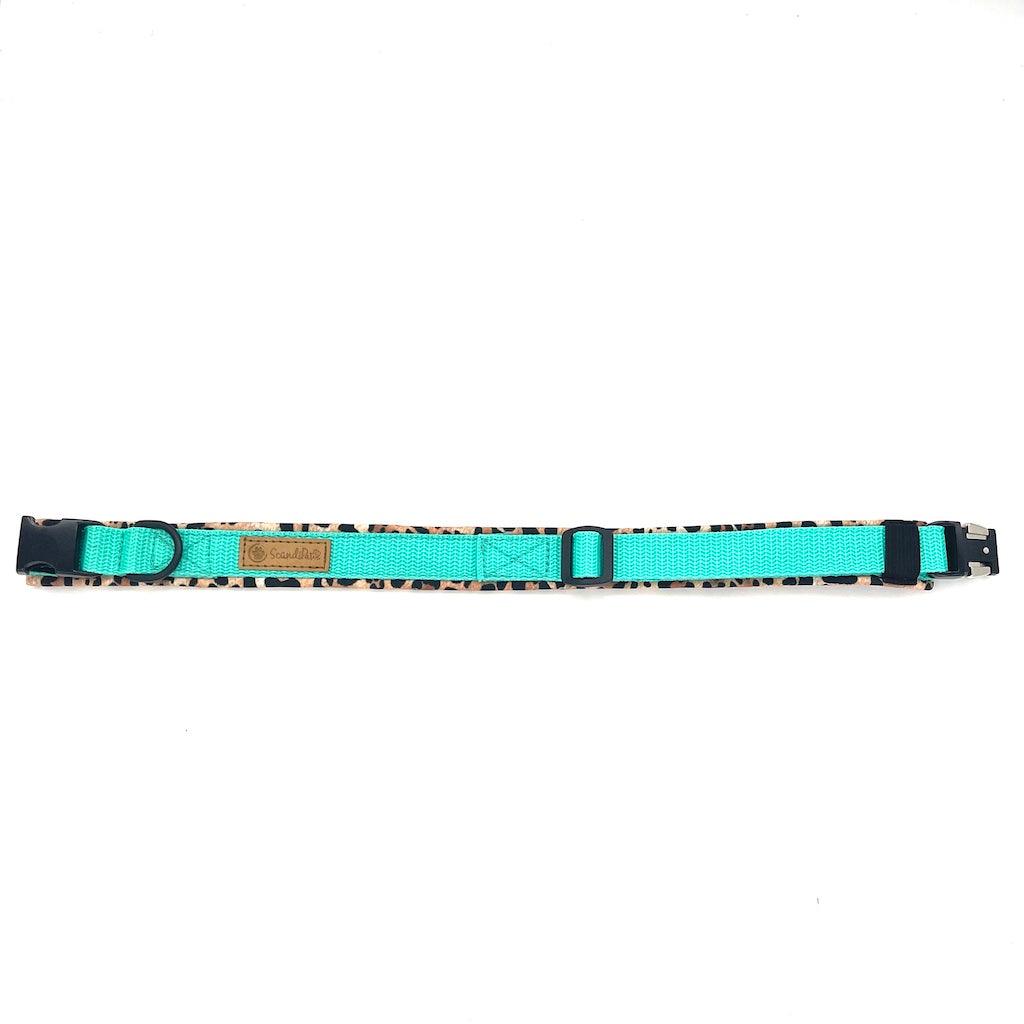 Halsband aus Softshell von ScandiPaws