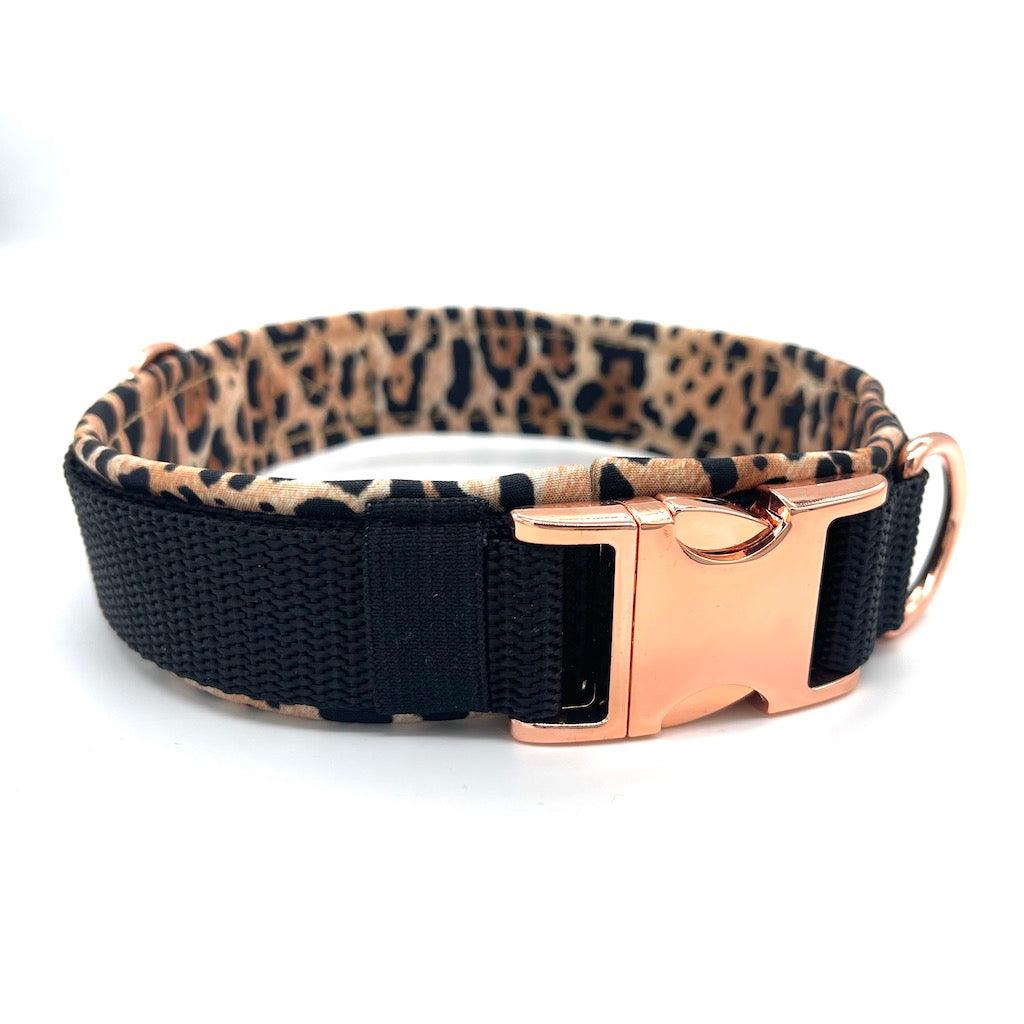 Hunde Halsband Black Panda