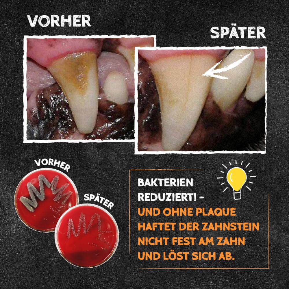 Zahnputzflocken