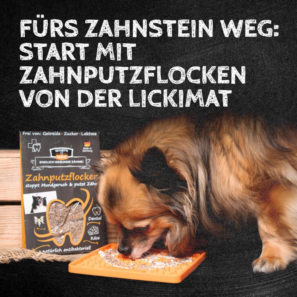 Zahnputzflocken